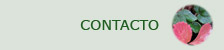 Contacto Vivero Los Maitenes Patagonia